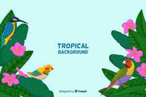 Free vector colorful tropical birds background