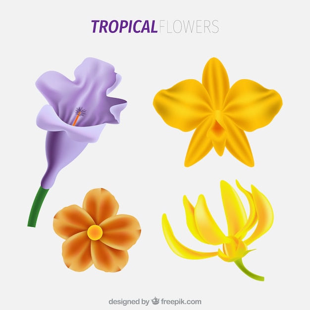 Коллекция красочных тропических цветов в реалистичном стиле