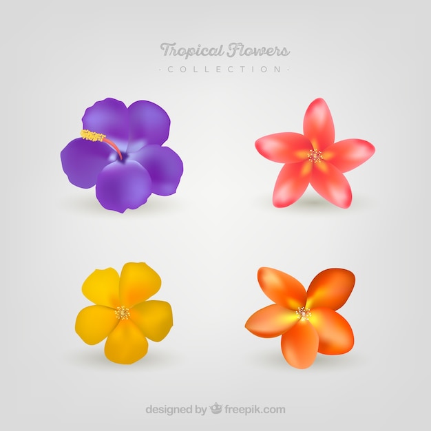 Colorful tropical flowers collection in realistic style