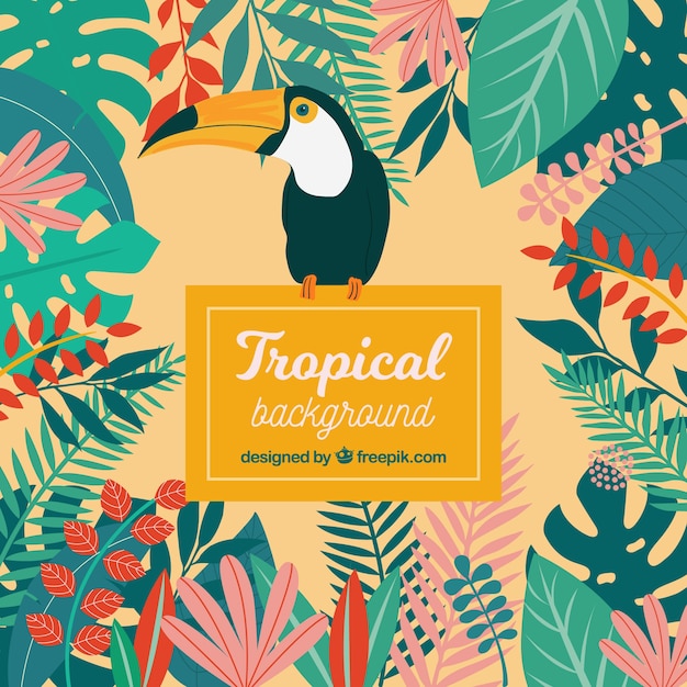 Free vector colorful tropical leaves background