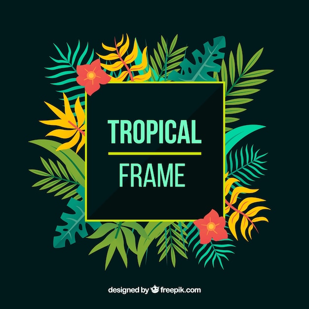 Colorful tropical leaves frame