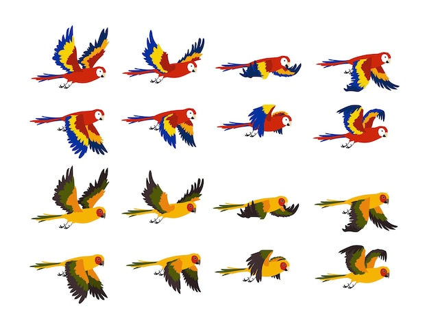 Free vector colorful tropical parrots flying cartoon illustration set