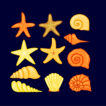 カラフルなトロピカルシェル水中アイコンは 海の貝 イラストのフレームを設定します 貝殻と海の星の夏のコンセプト ラウンド構成 ヒトデ 自然水生 図 プレミアムベクター カラフルなトロピカルシェル水中アイコンは 海の貝 イラストのフレームを設定します 貝殻と海の星の夏のコンセプト ラウンド構成 ヒトデ 自然水生 図 プレミアムベクター