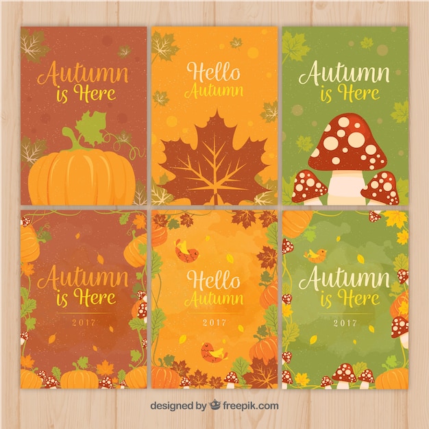 Colorful variety of autumnal cards