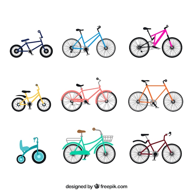 Free vector colorful variety of basic bicycles