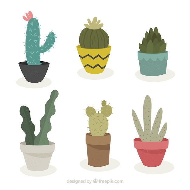 Бесплатное векторное изображение Красочное разнообразие оригинальных кактусов