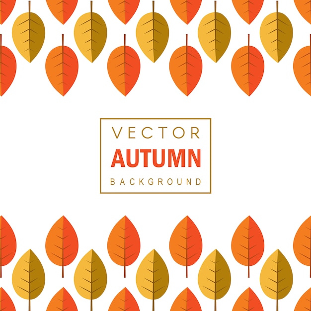 Colorful vector autum leaves background