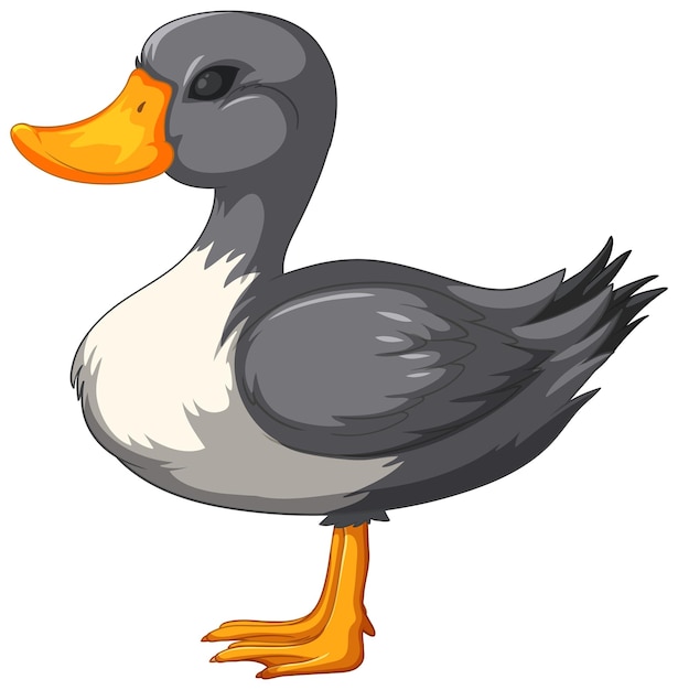 Colorful Vector Illustration of a Duck