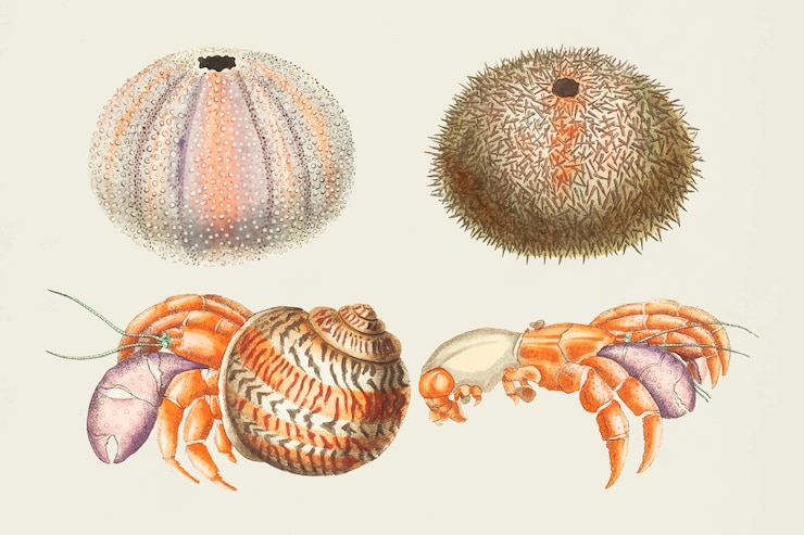 Free Vector colorful vector sea animals hand drawn vintage collection