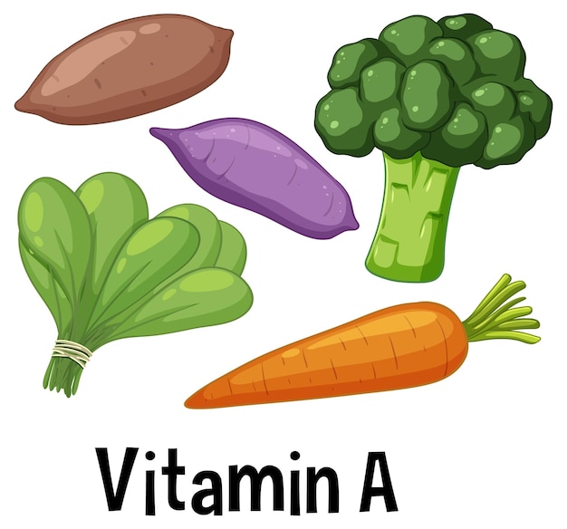 Vettore gratuito raccolta di verdure colorate con ricca vitamina a