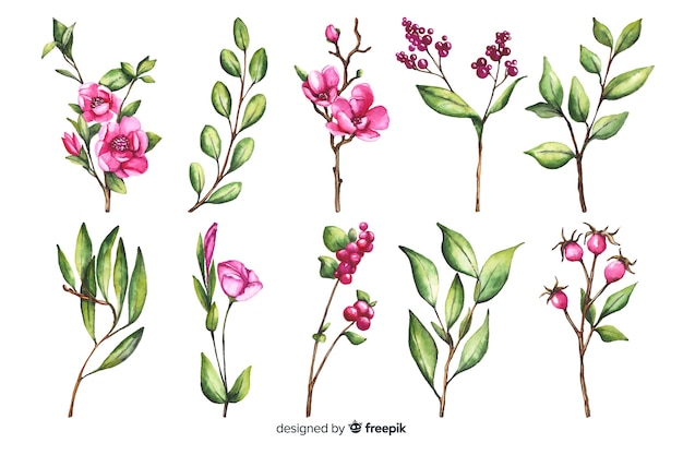 Free vector colorful watercolor floral branch collection