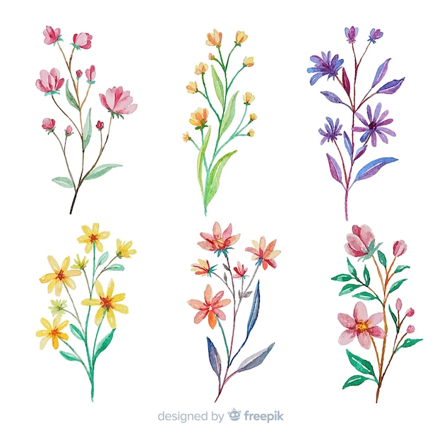 Free vector colorful watercolor floral branch collection