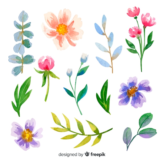 Colorful watercolor flowers and leaves