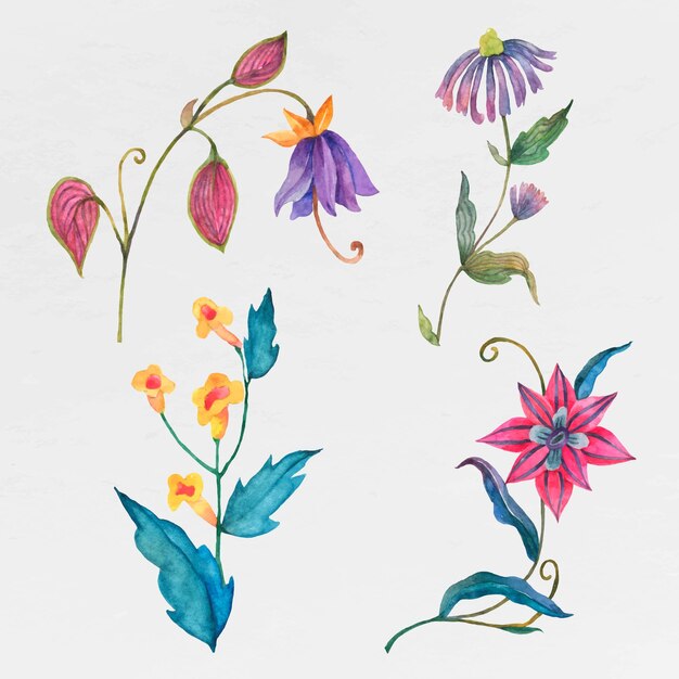 Colorful watercolor flowers set