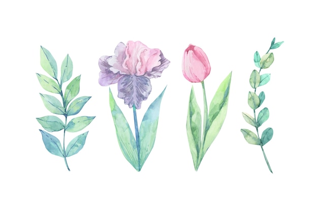 Colorful watercolor flowers