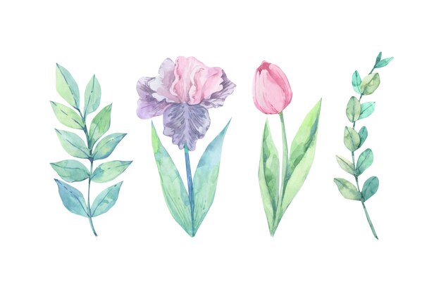 Colorful watercolor flowers