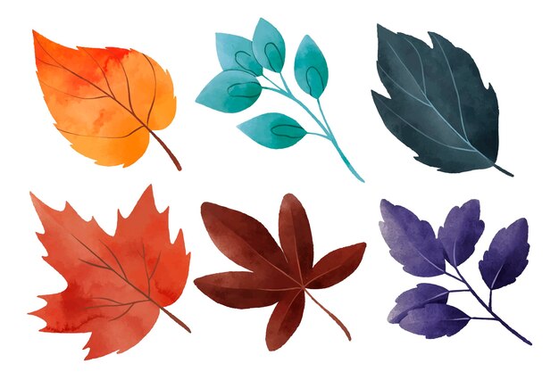 Colorful watercolor leaves collection