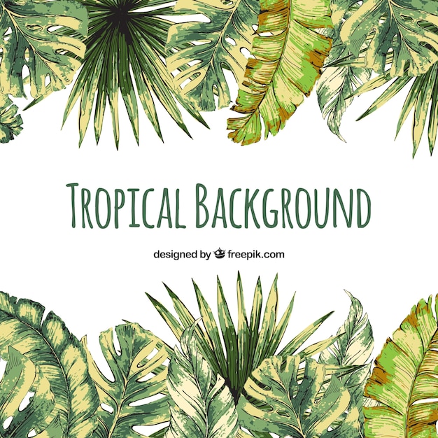 Free vector colorful watercolor tropical background