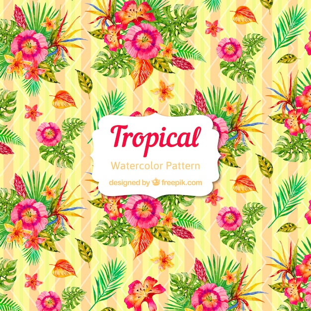 Colorful watercolor tropical pattern