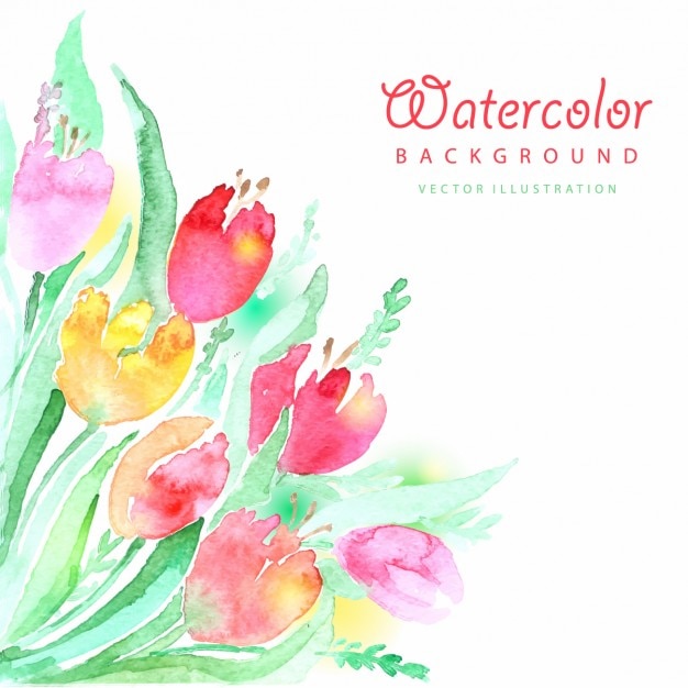 Vettore gratuito colorful acquerello tulipani sfondo