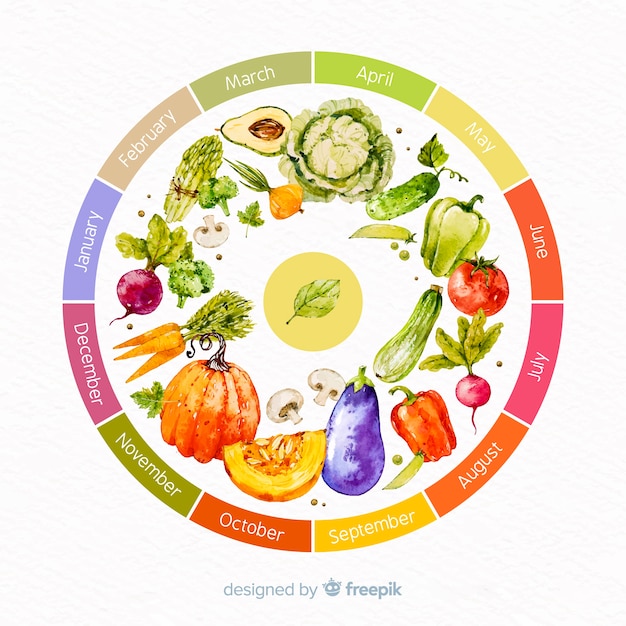 Красочное акварельное колесо сезонных овощей и фруктов