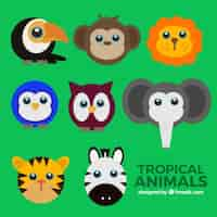 Free vector colorful wild animal avatars set