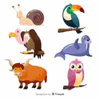 Free vector colorful wildlife cartoon animal pack