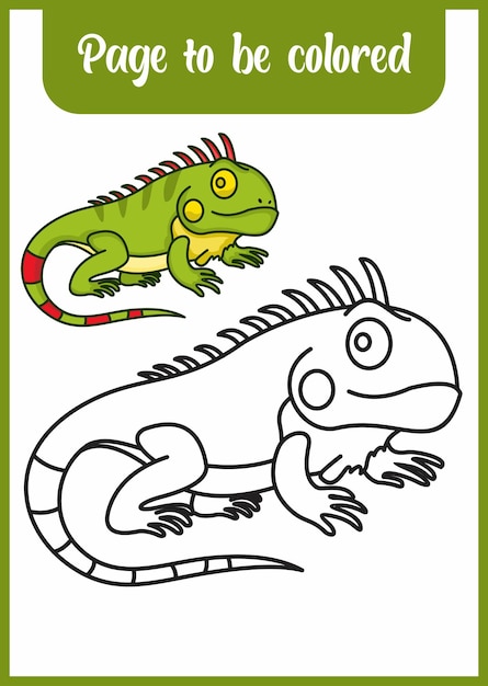 57 Iguana Animal Coloring Pages  Free