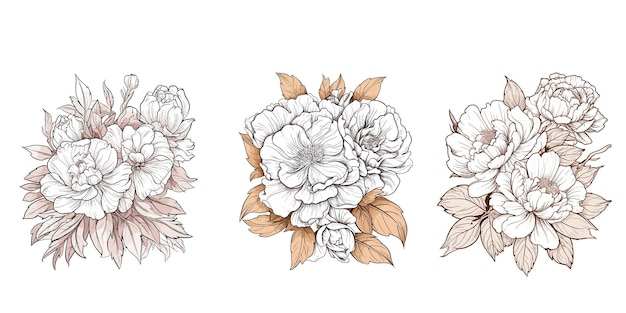 Free vector coloring book style hand draw botanical floral elements