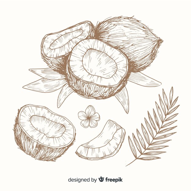 Colorless hand drawn coconut background