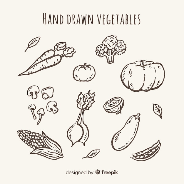 Colorless hand drawn fruit and vegetable set