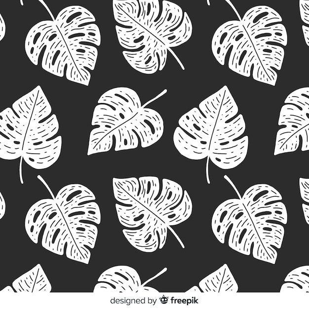 Colorless monstera background