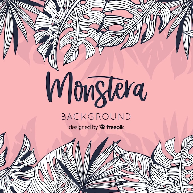 Colorless monstera leaves background