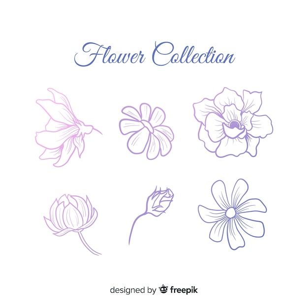 Colorless spring flowers pack