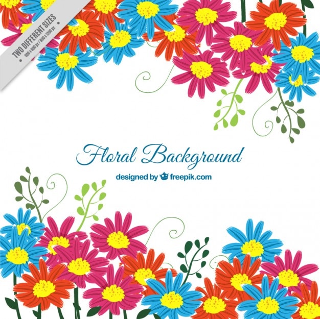 Free vector colors daisies background