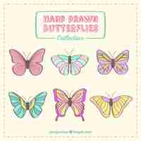 Free vector colors sketches butterflies pack