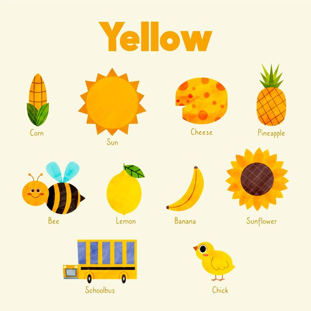 Colors and vocabulary set in english