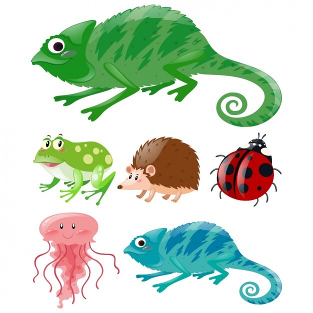 Free Vector coloured animals collection