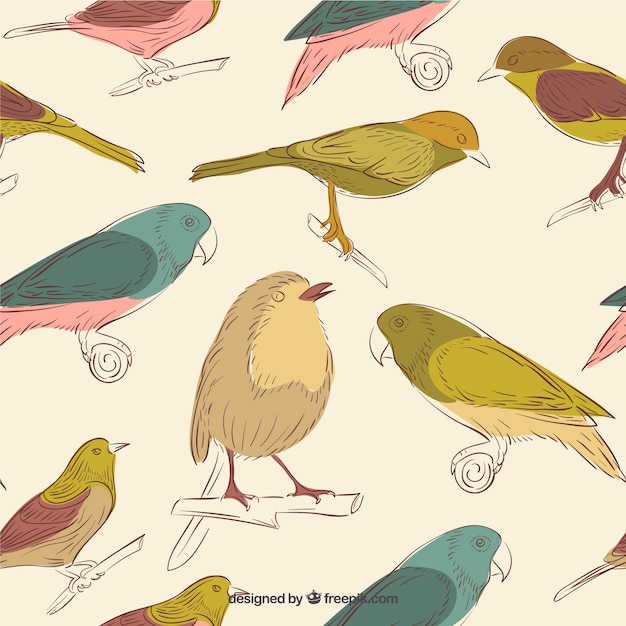 Coloured birds background