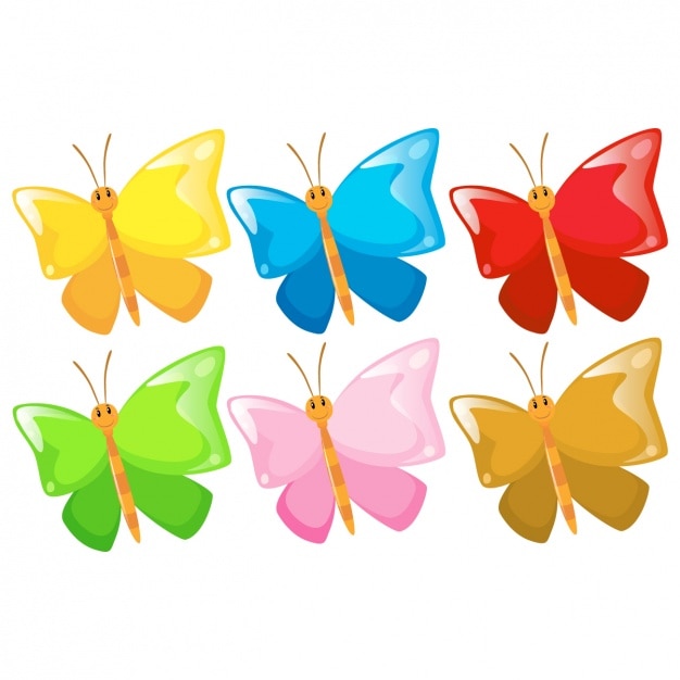 Coloured butterflies collection