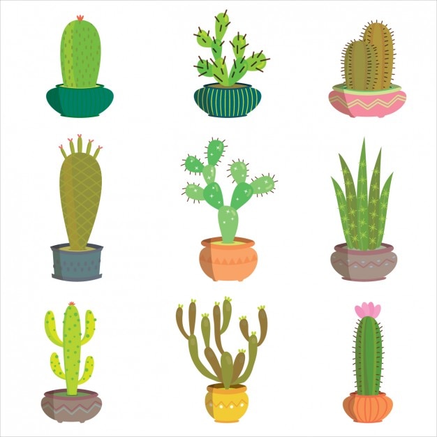 Vettore gratuito collezione di cactus colorato