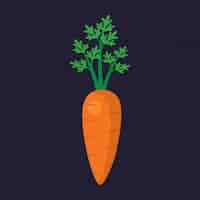 Free vector coloured carrot design