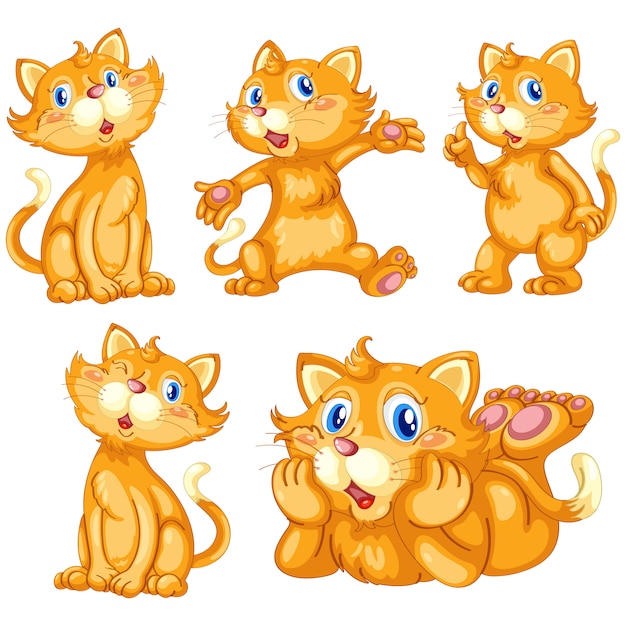 Free vector coloured cats collection