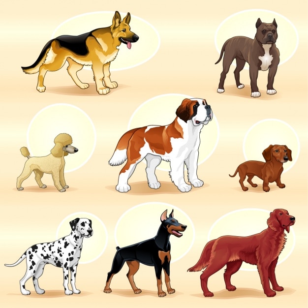 Coloured dogs collection