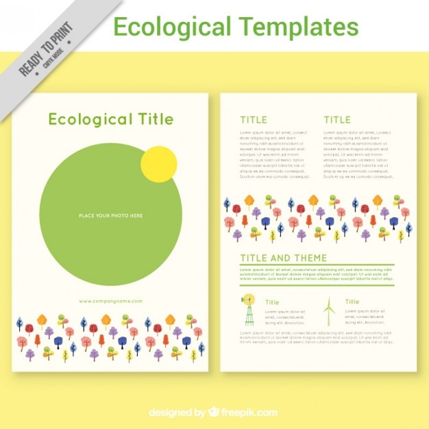 Coloured ecological flyer template
