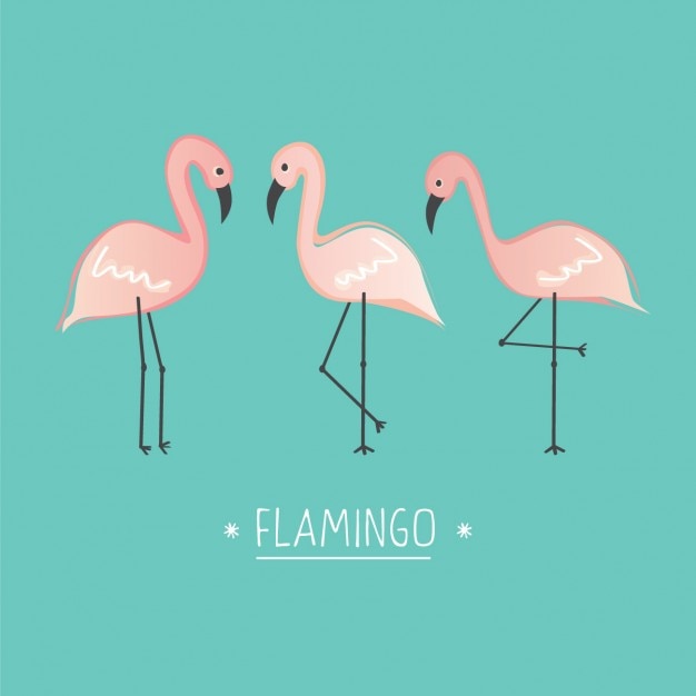 Free vector coloured flamingos background