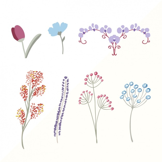 Бесплатное векторное изображение Коллекция цветное цветы