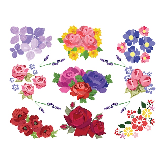 Coloured flowers collection