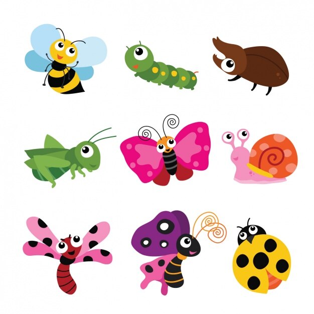 Coloured insects collection