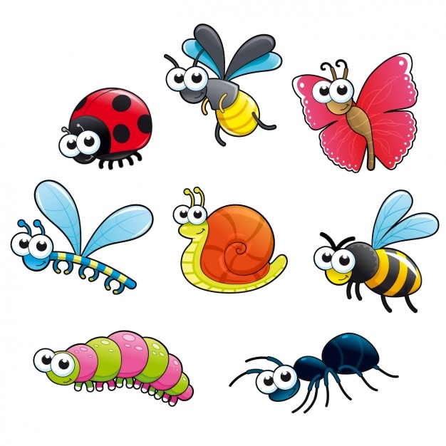 Free Vector coloured insects collection